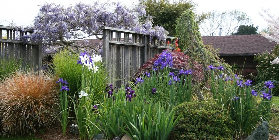 Fence Screens
Genevieve Schmidt Landscape Design and Fine Maintenance
Arcata, CA