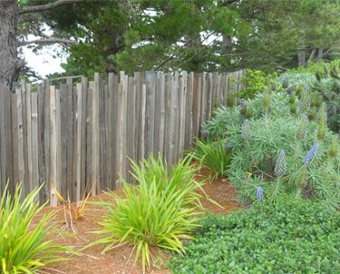 Fence, Wood
Swimming Pool
Landscaping Network
Calimesa, CA