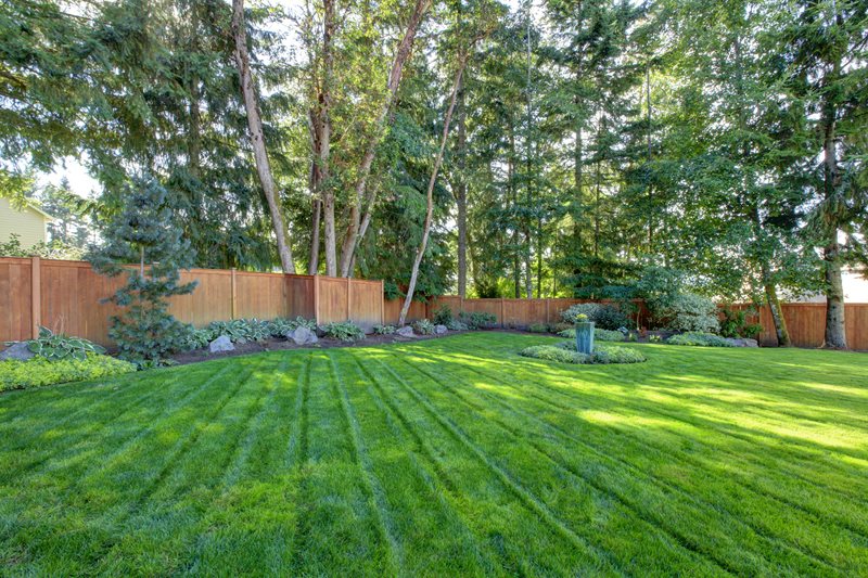 Fenced Backyard, Mowed Lawn
Backyard Landscaping
Landscaping Network
Calimesa, CA