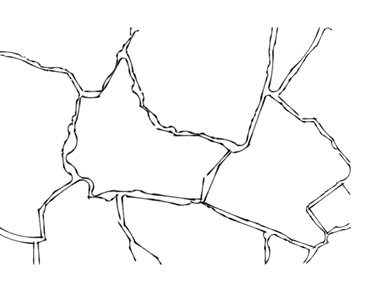 Backyard Pool Design