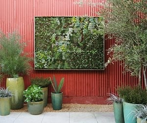 vertical garden panel