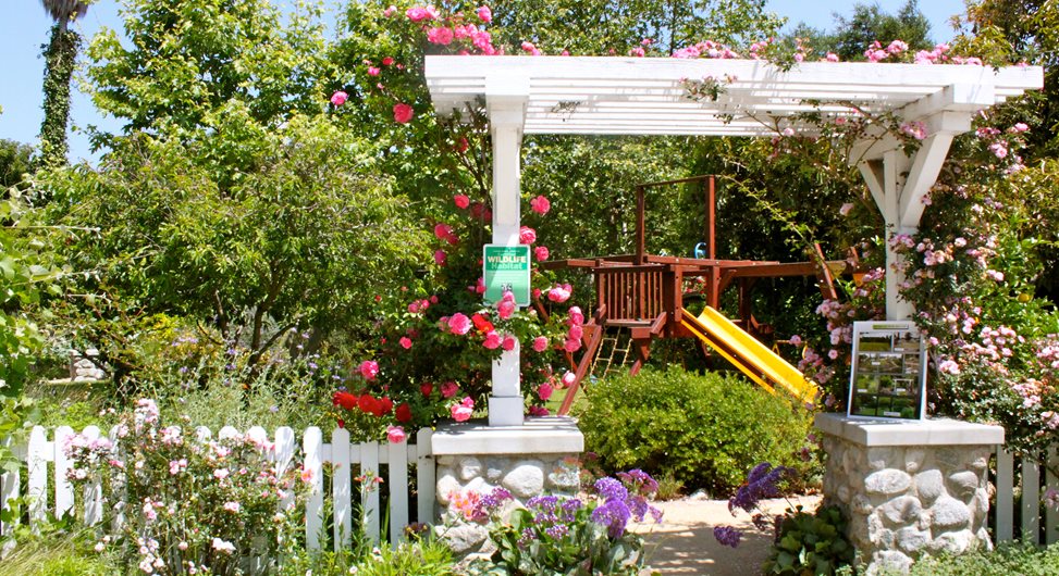 Flower Covered Arbor
Landscaping Network
Calimesa, CA