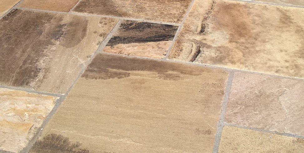 Fossil Stone
Metamorphosis Landscaping
San Bruno, CA