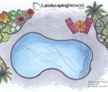 Desert Landscape Planting 