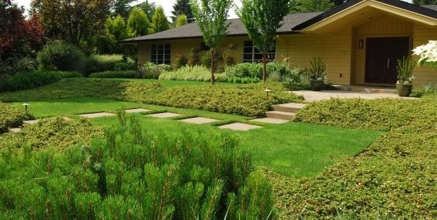 Front Garden Design
Front Yard Landscaping
Samuel H. Williamson Associates
Portland, OR
