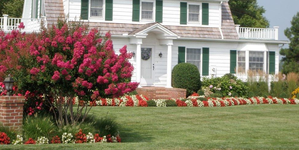 Front Lawn, Crepe Myrtle
Front Yard Landscaping
Sposato Landscape
Milton, DE