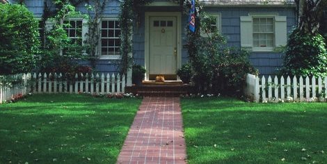Front Lawn
Maureen Gilmer
Morongo Valley, CA