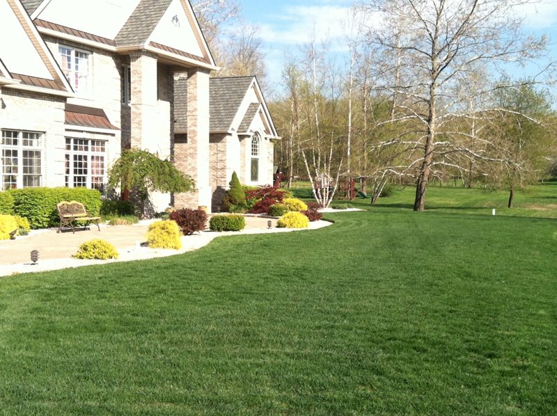 Front Walk, Green Lawn
Front Yard Landscaping
LCS Companies
Poughkeepsie, NY