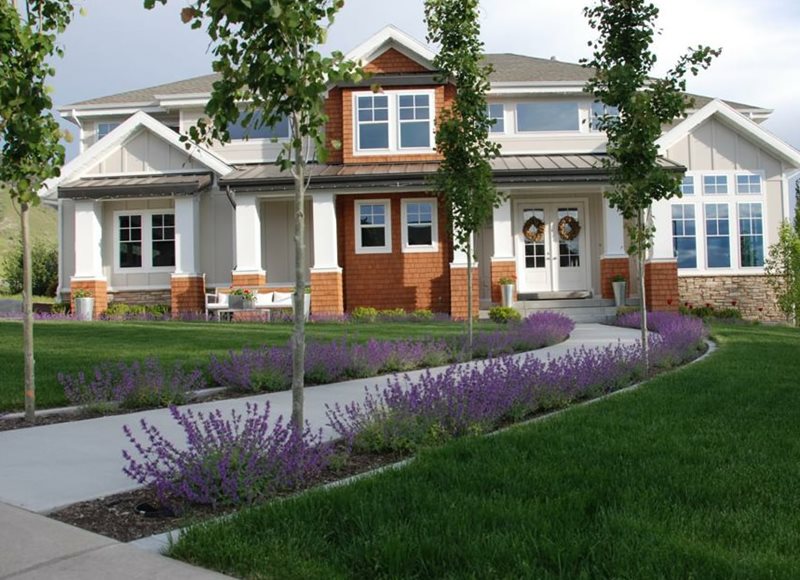 Front, Walkway, Curved, Concrete, Purple
Front Yard Landscaping
Ag-Trac Enterprises
Logan, UT