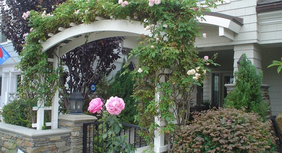 Front Yard Arbor
Maureen Gilmer
Morongo Valley, CA