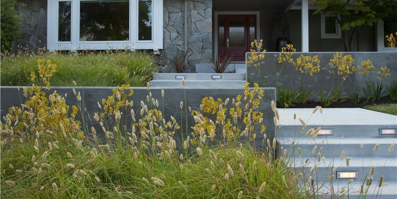 Front Yard Entrance
Front Yard Landscaping
Shades of Green Landscape Architecture
Sausalito, CA