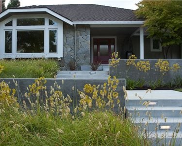 Front Yard Entrance
Swimming Pool
Shades of Green Landscape Architecture
Sausalito, CA