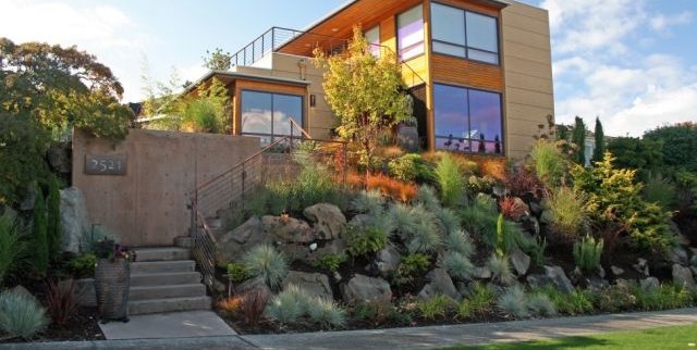 Front Yard Hillside
Front Yard Landscaping
Banyon Tree Design Studio
Seattle, WA