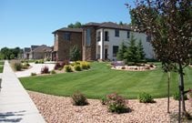 Cost of a Hydroseed Lawn