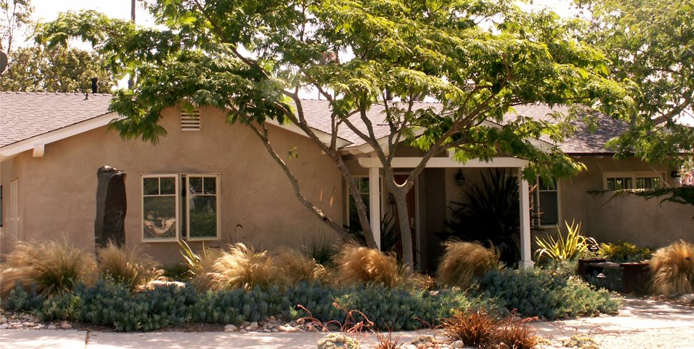 Front Yard With Plants And Tree
Garden Design
Grace Design Associates
Santa Barbara, CA