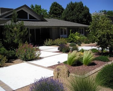 Front Yard Xeriscape
Swimming Pool
Red Twig Studio
Albuquerque, NM