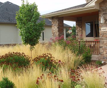 Front Yard Xeriscaping Grasses
J&S Landscape
Longmont, CO