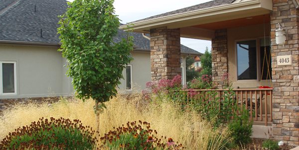 Front Yard Xeriscaping Grasses
J&S Landscape
Longmont, CO