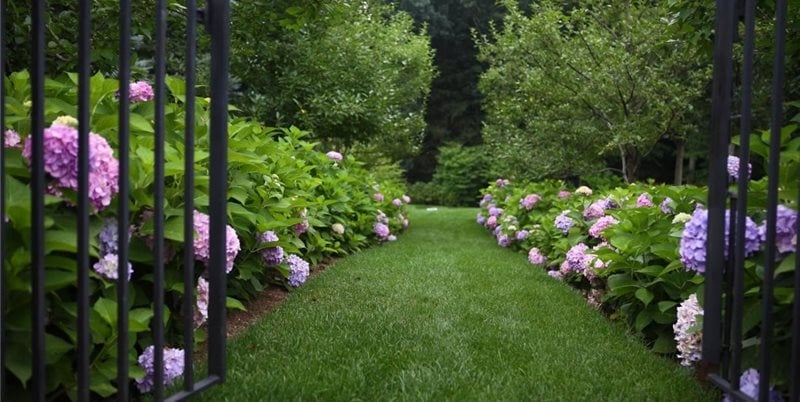 Garden Path, Gras Path
Walkway and Path
James Doyle Design Associates
Greenwich, CT