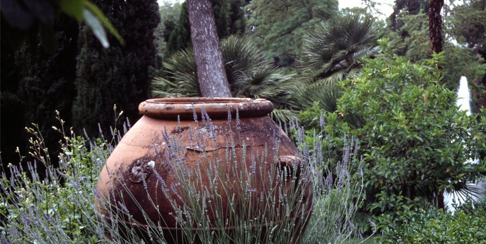 Garden Urn
Mediterranean Landscaping
Maureen Gilmer
Morongo Valley, CA