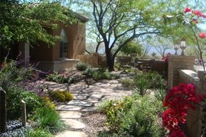 Garden Walkway
Walkway and Path
Casa Serena Landscape Designs LLC - Closed
