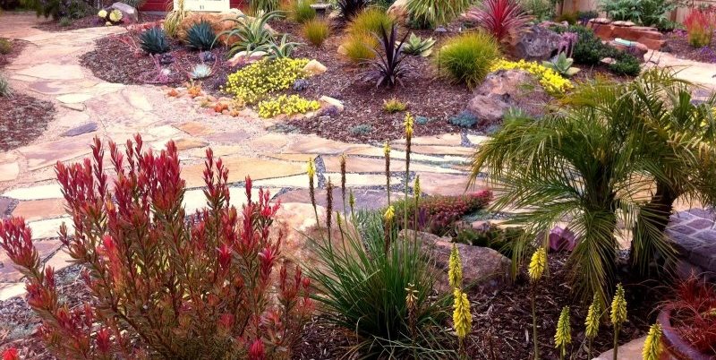 Gardens by Gabriel
Morro Bay, CA 