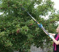 Genevieve Schmidt Landscape Design and Fine Maintenance
Arcata, CA