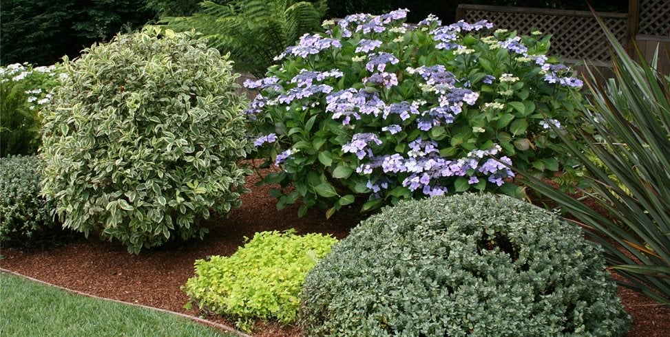 Genevieve Schmidt Landscape Design and Fine Maintenance
Arcata, CA