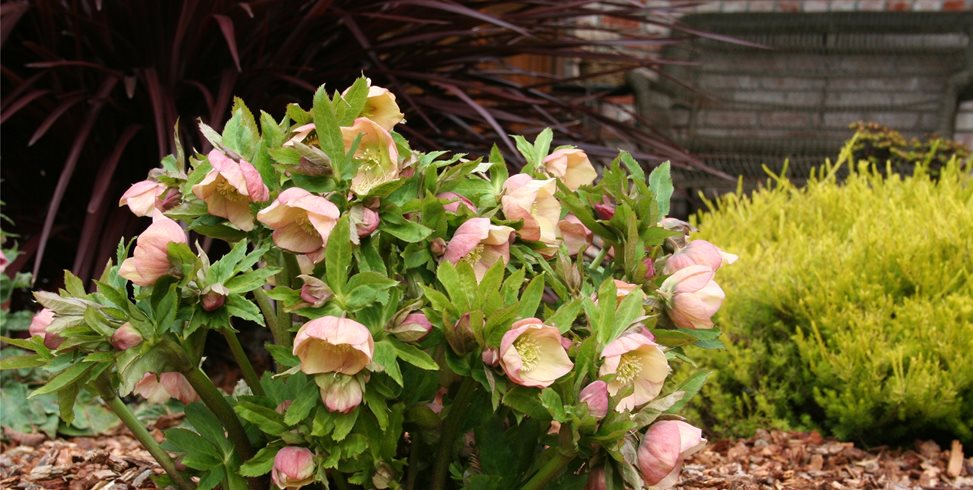 well-maintained entry