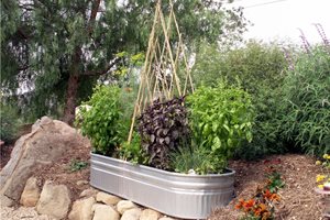 Grace Design Associates
Santa Barbara, CA