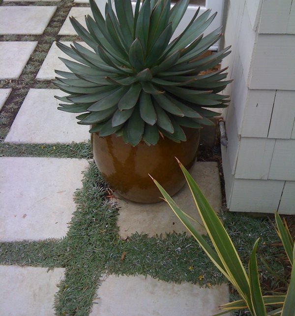 Grasscrete
Paving
Landscaping Network
Calimesa, CA