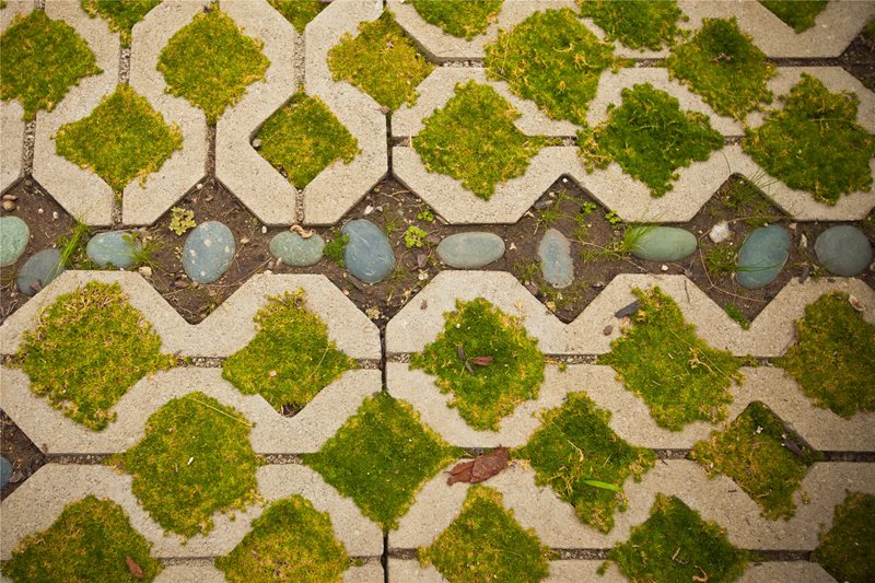 Grasscrete
Paving
Landscaping Network
Calimesa, CA