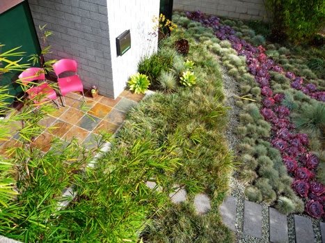 Grasses Succulents
Garden Design
Kiesel Design
Ventura, CA