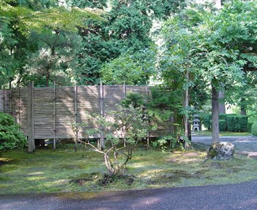 Hand Made Bamboo Fence
Pergola and Patio Cover
Maureen Gilmer
Morongo Valley, CA