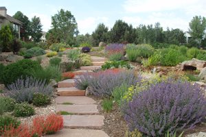Hillside Path
Patio
J&S Landscape
Longmont, CO