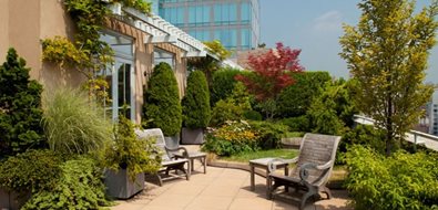 Wide Landscape Walkway