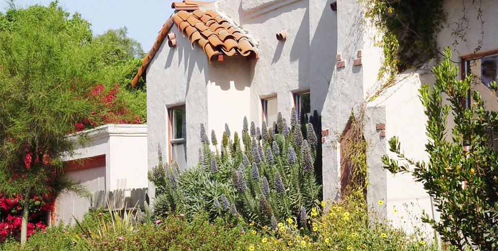 Hot Walk
Mediterranean Landscaping
Maureen Gilmer
Morongo Valley, CA