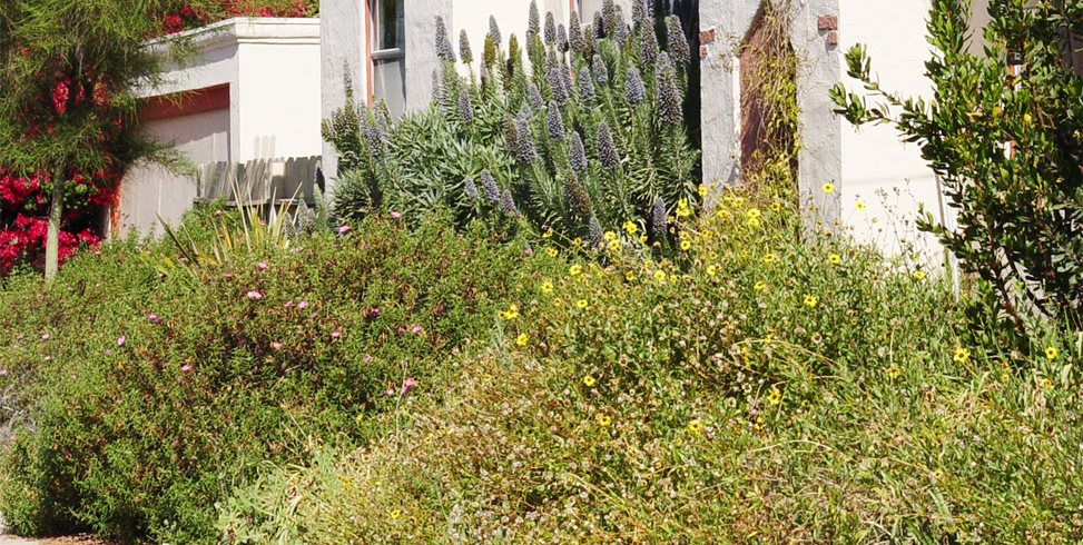 Hot Walk
Maureen Gilmer
Morongo Valley, CA