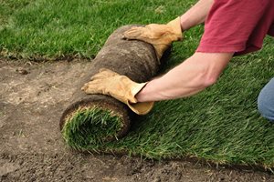 How To Lay Sod
Lighting
Landscaping Network
Calimesa, CA