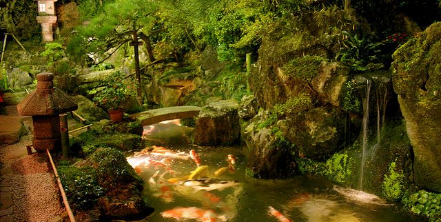 Koi Pond, Asian, Lantern, Moss
Swimming Pool
Zoen Sekkei-sha + Associates
Lake Forest, IL