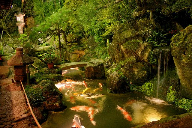 Koi Pond, Asian, Lantern, Moss
Pond and Waterfall
Zoen Sekkei-sha + Associates
Lake Forest, IL