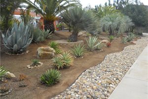 Retaining and Landscape Wall
Landscaping Network
Calimesa, CA