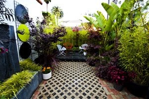 Retaining and Landscape Wall
Landscaping Network
Calimesa, CA