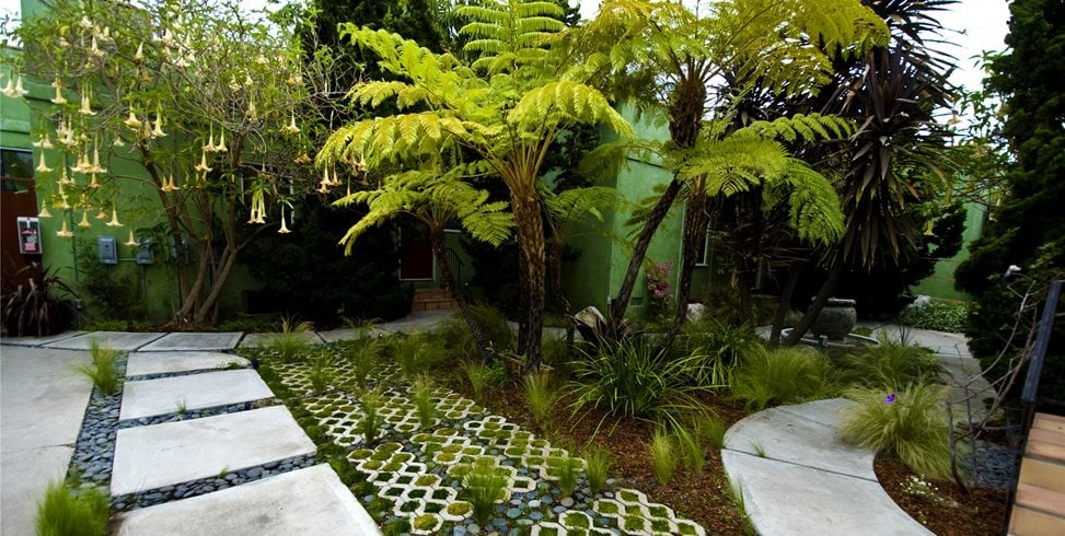 Landscaping Network
Calimesa, CA