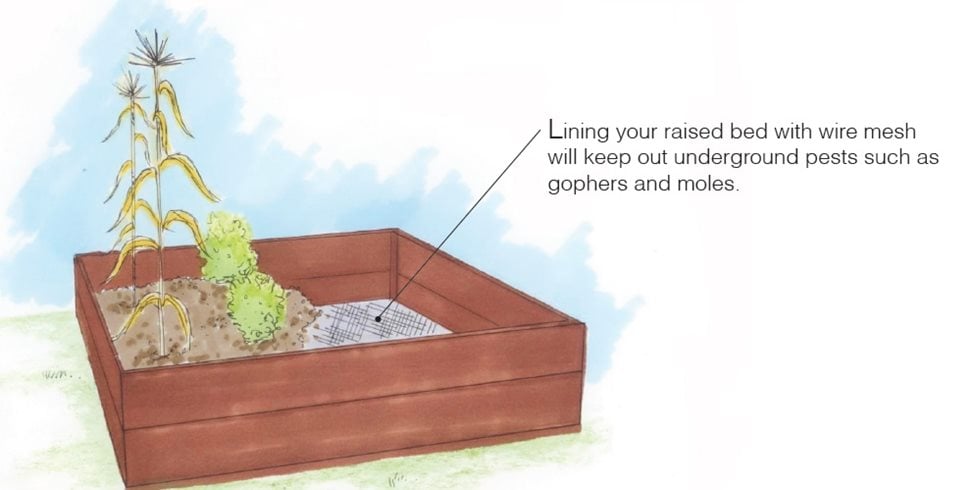 Landscaping Network
Calimesa, CA