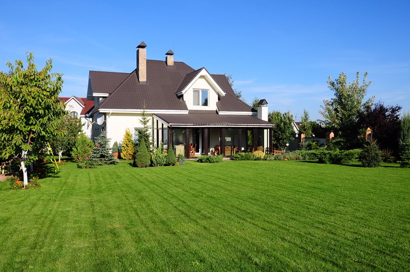 Large Backyard Lawn
Backyard Landscaping
Landscaping Network
Calimesa, CA