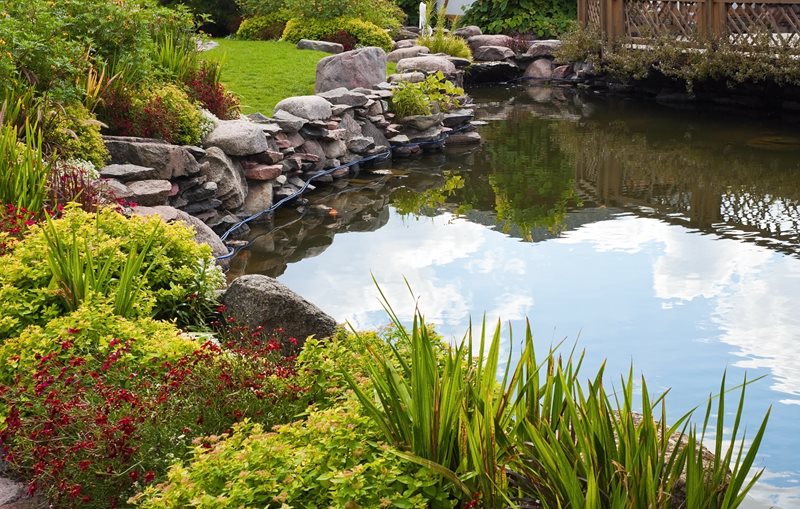 Large Backyard Pond, Pond Boulders
Pond and Waterfall
Landscaping Network
Calimesa, CA
