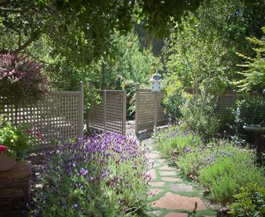 xeriscape garden in bloom