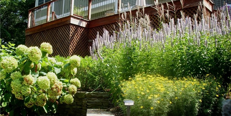 LDAW Landscape Architecture
Carmel, NY