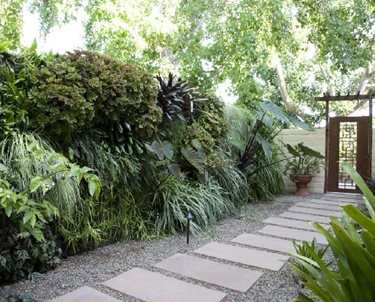 Living Wall, Concrete Paver Walkway
Swimming Pool
Amelia B. Lima & Associates
San Diego, CA